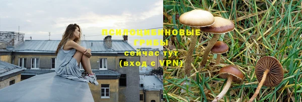 альфа пвп Балахна